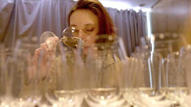 vino blanco conjunto de copas de vino blanco y una mujer catando diversos vinos blancos