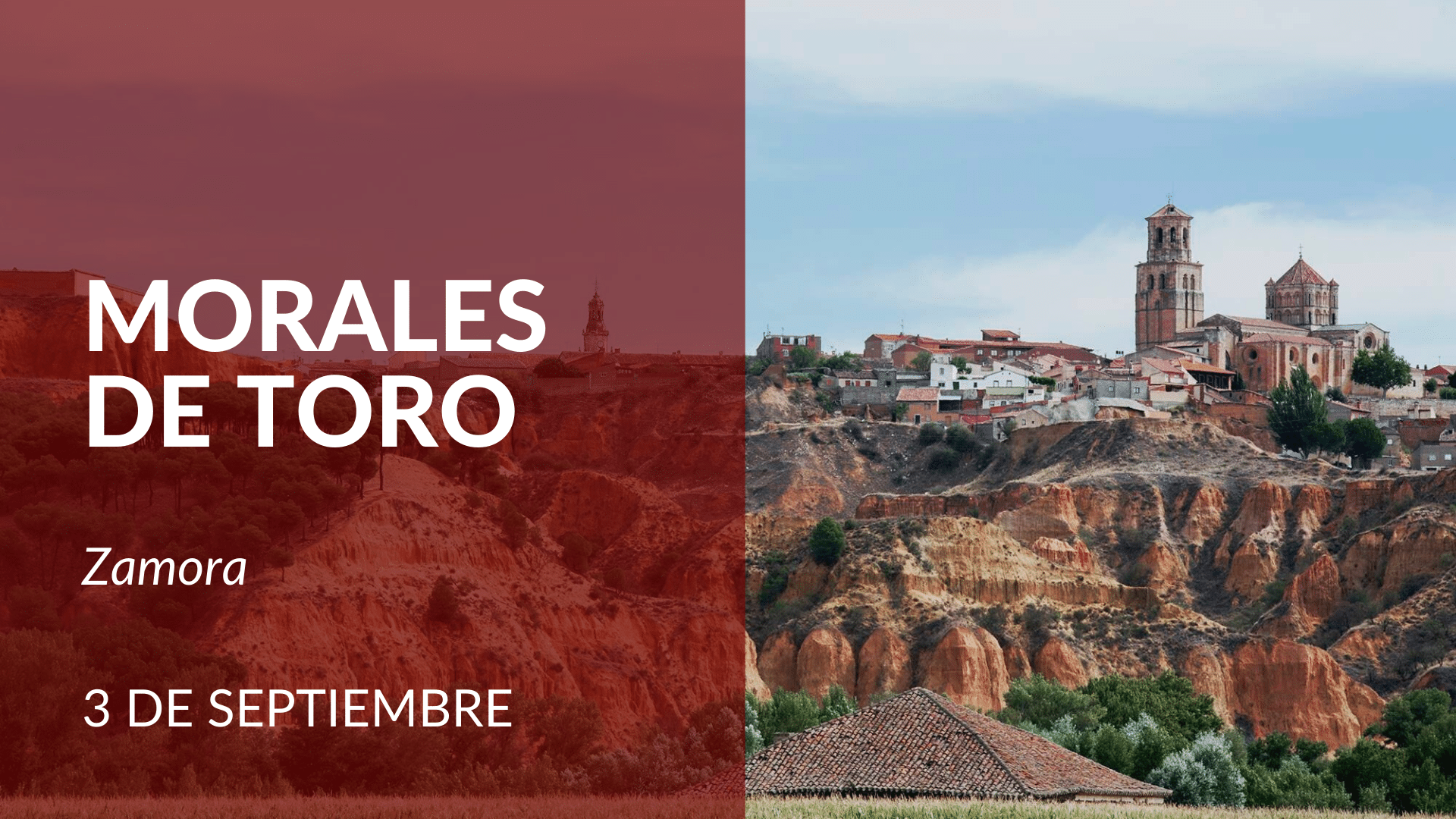 morales de toro